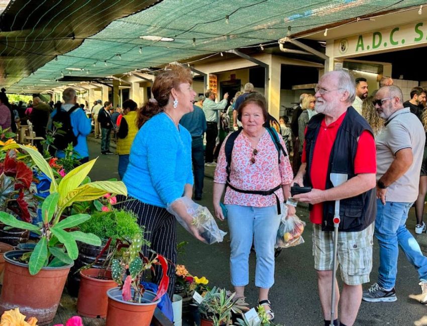 MERCADO DO SANTO DA SERRA