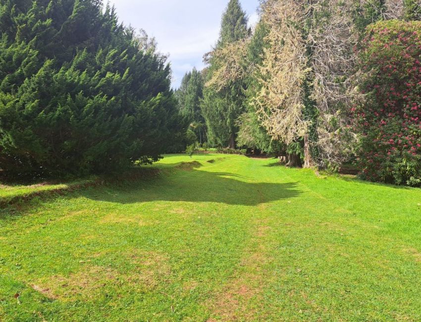 PARQUE DA QUINTA DO SANTO DA SERRA